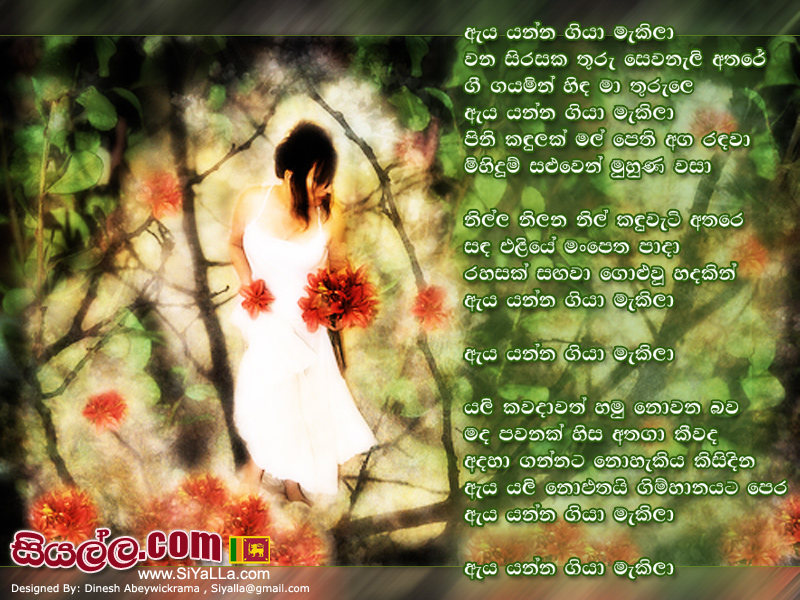 Aya Yanna Giya Makila Song Lyrics by Amarasiri Peiris